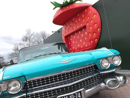 Aardbeien drive-in van Jan en Birgitte van den Elzen in Uden