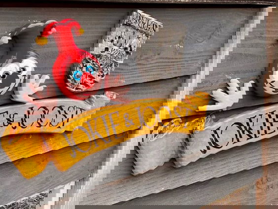 Patrick uit Ridderkerk heeft zijn tuin omgebouwd tot Efteling!