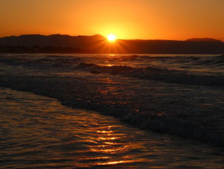 "Schouder aan schouder in Gods wijngaard staan"