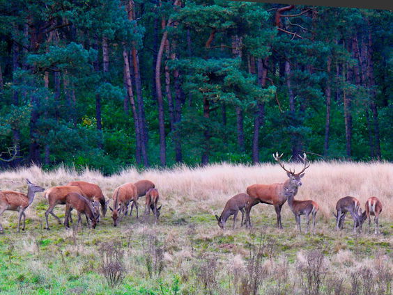 Corona nekslag voor Lelystad Airport