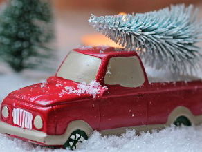 Hoe houden we de kerstboom groen en gezond tot Driekoningen?