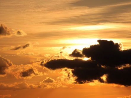 Dagsluiter - Digna Hintzen