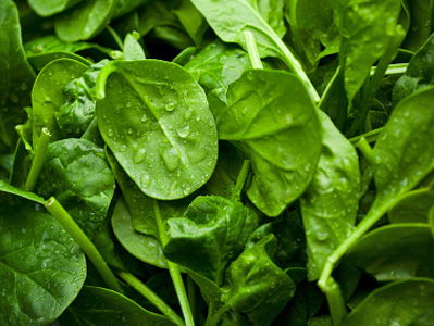 De Koelkastcoach - Alles over spinazie