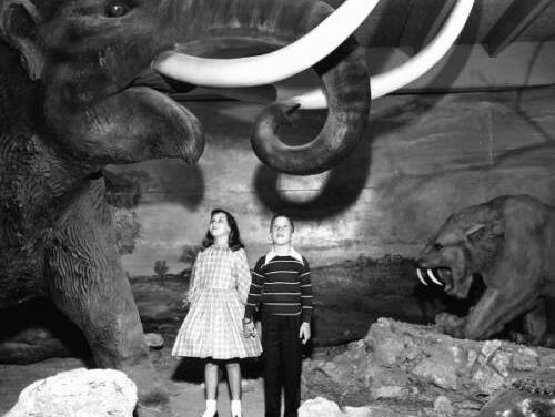 Waarom zijn oerdieren altijd zo groot?