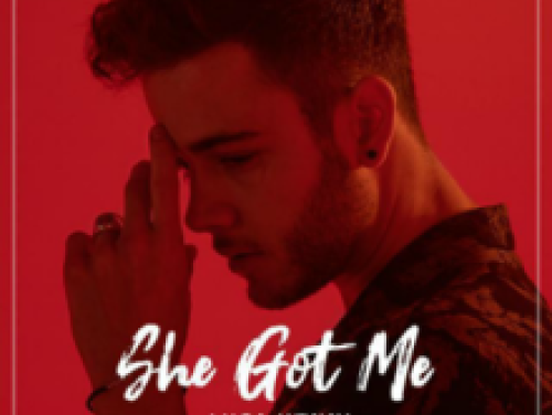 Op weg naar Songfestival 2020: platina voor She got me - Luca Hänni