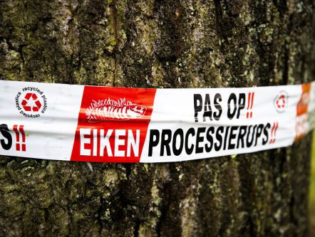 Marieke Vinken heeft wondermiddel tegen EPR