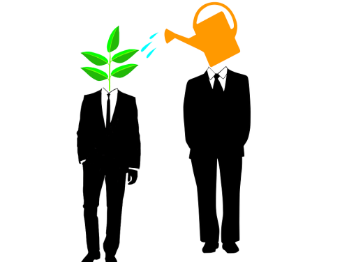 Wat Een Vak: Beroepskeuzeadviseur