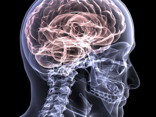 Geheugenstrategietraining veel effectiever dan normale geheugentraining