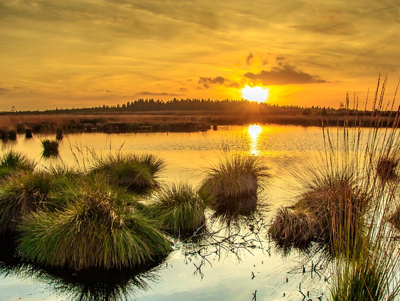 Ken je mij, wie ben je dan...