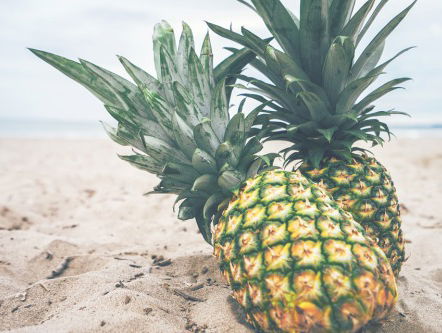 Lex Boon over zijn boek 'Ananas'