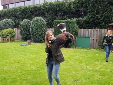 Martine voert woestijnbuizerd op dierendag