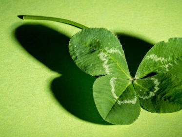 Geluksonderzoeker Leo Bormans: Je hoeft niet elke dag 100 procent gelukkig te zijn