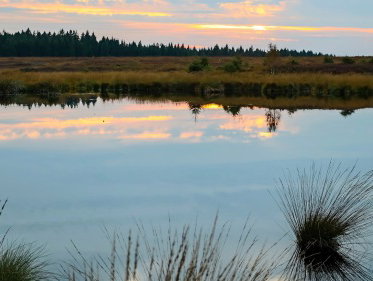 'Als de avond doodstil is en wacht tot de zon ondergaat…'