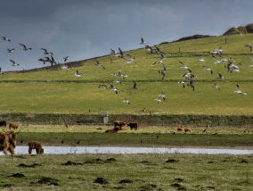 Wereld Voedsel Dag - Hoe zit het eigenlijk met onze verspilling?