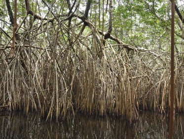 ‘Maar… die ander kunnen wij nu zijn!’