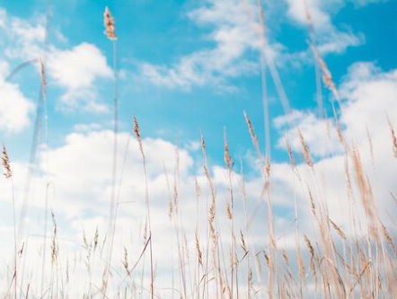 Marjo den Bakker legt ons op bed