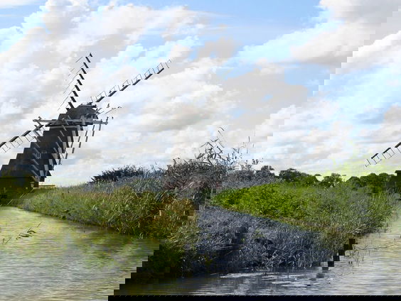 Dichter Aly Freije brengt poëzie over Groningen