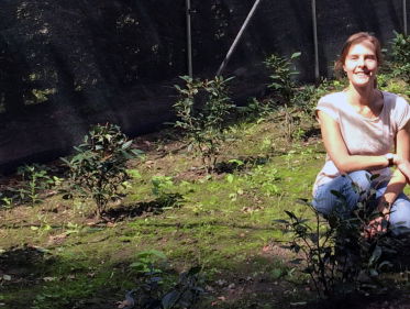 Theesommelier Linda Cebrian begon theeplantage in Brabant