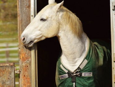 Wat Een Vak: Managehouder