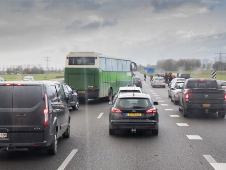 Wim Daniels over Van Dale Woord van het jaar