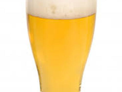 Carnavalsbouwclub De Dijkrakkers bouwt niet, maar brouwt!