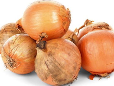 De mooiste ui van Nederland