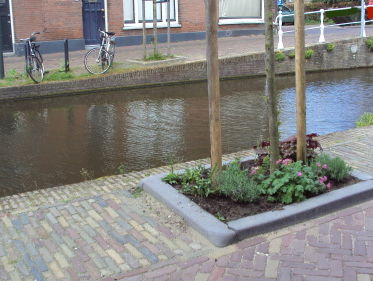 Utrecht gaat boomspiegels registreren om wegmaaien te voorkomen