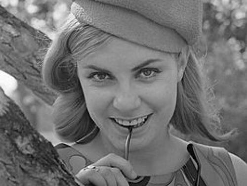 De Arbeidsvitaminen van Conny Vink