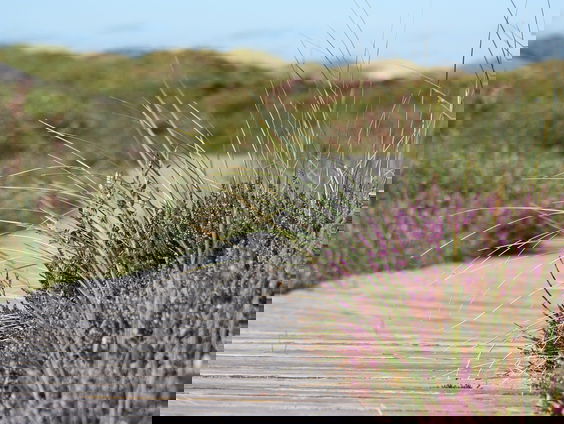 Thomas Peek van Staatsbosbeheer over de trots van Zuid-Holland