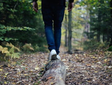 Morgen wordt het honderste klompenpad geopend!