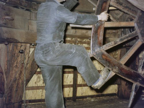 Molenaar beschermd beroep