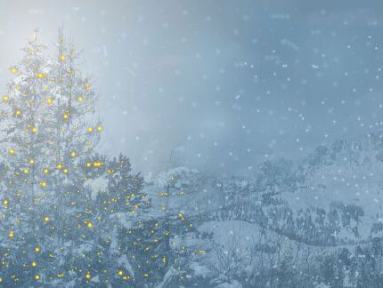 Help Park de Hoge Veluwe: zaag je eigen kerstboom