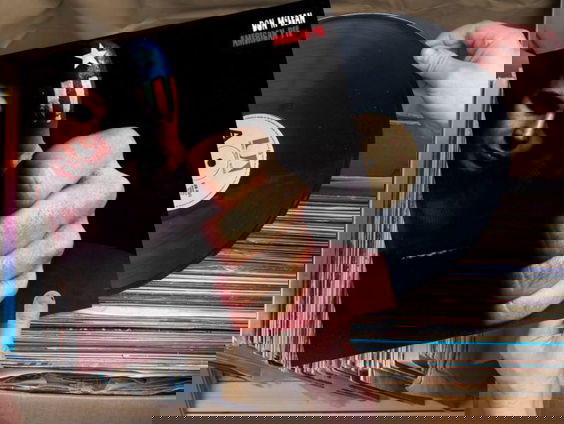 Liefde voor Muziek/Plaatwaarde: American Pie van Don McClean