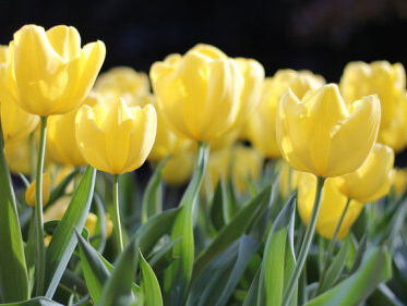 Uittips voor paasweekend