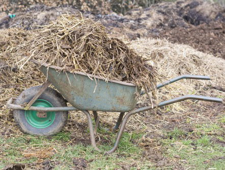 Amsterdamse wijk wint grondstoffen uit ontlasting en urine