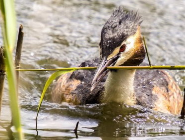 Martine Dubois gaat suppen, en wat kom je dan tegen?