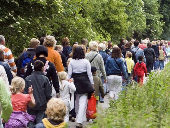Van nu naar toen: de Avond4daagse