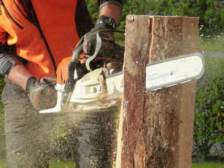 Dit weekend is het NK Carving op het Houthakkersfeest