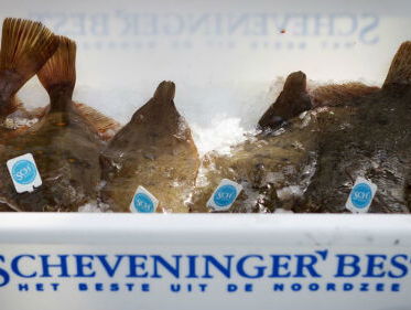 Hoe komt vis uit de Noordzee meer op de kaart?