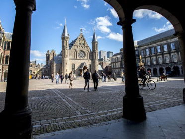 Een wandeling langs de grondwet