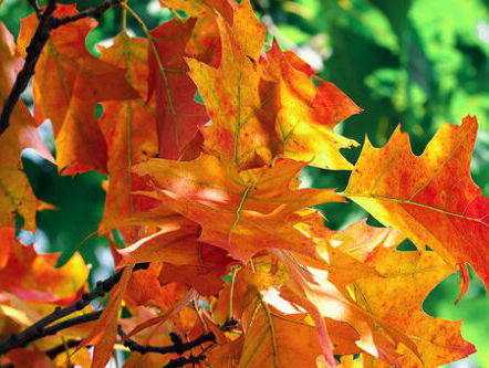 Met het verkeerde been uit bed