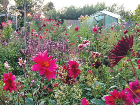 'Week van de groene tuin' van start!