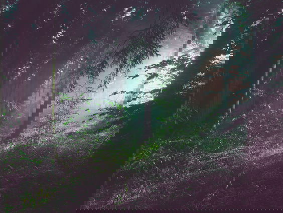 Arjan Postema: ga poep zoeken met de (klein)kinderen!
