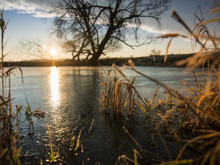 Buurtpastor Bettelies Westerbeek sluit de dag af