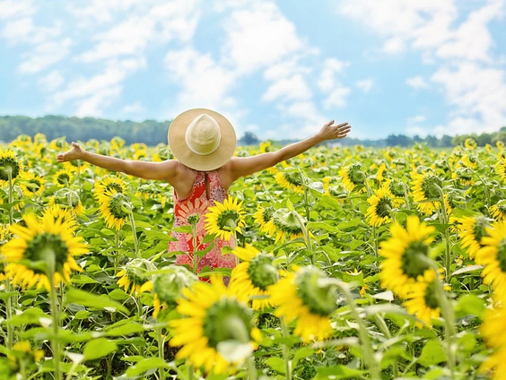 Hoe word je gelukkig?