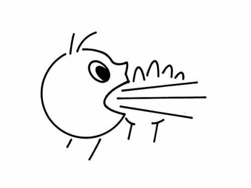 Aparte slogans in de politiek