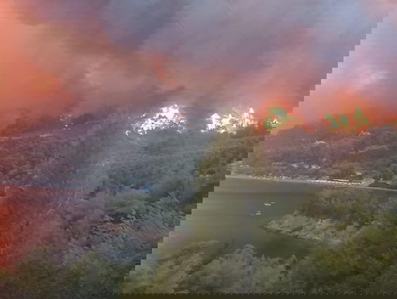 'Het paard mocht niet mee op de boot waarmee iedereen geëvacueerd werd.'