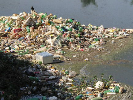 Een groen dak van rioolgoed