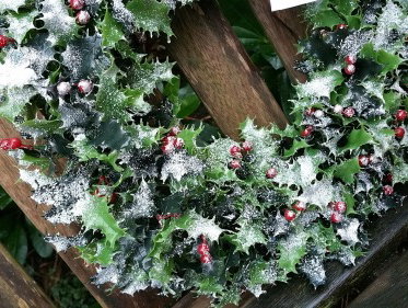 Kerstgroen met Martine Dubois