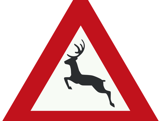 Pas op voor overstekend wild